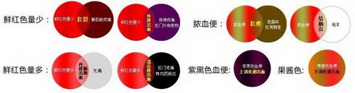 ʥسҽԺҽϸسע⿪֮࣡