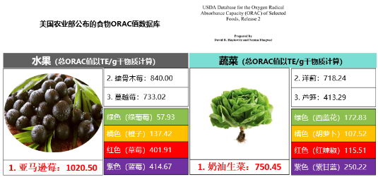 美维仕VitaminWorld携手中国营养学会,探索果蔬抗氧化力