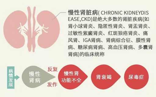 5.23关爱肾脏日将至中德健康行