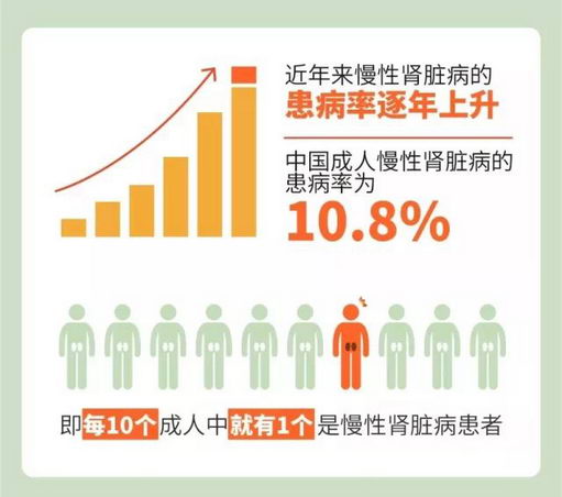 5.23关爱肾脏日将至中德健康行