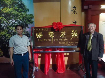 云南中医专家陈宝洪 精勤不倦 践行大医精诚