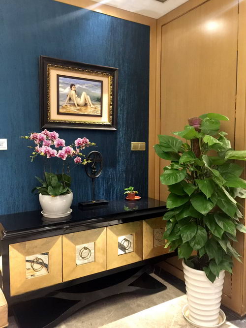 عϺ³ﲿ ߵһվʽܼ