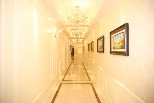 عϺ³ﲿ˫Ƥˮƽզ?˫Ƥ۶ÿ