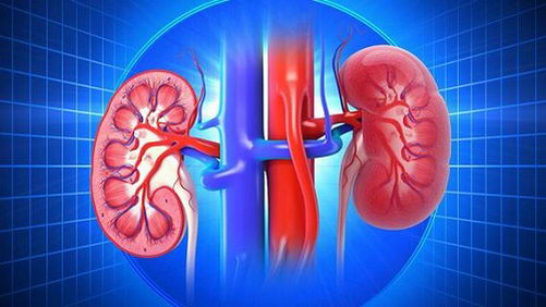 ൺҽಡҽԺɹչѪѹϵй