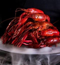 ��Ѫ֬���ߣ���Ҳ���ܵ��Ի�����