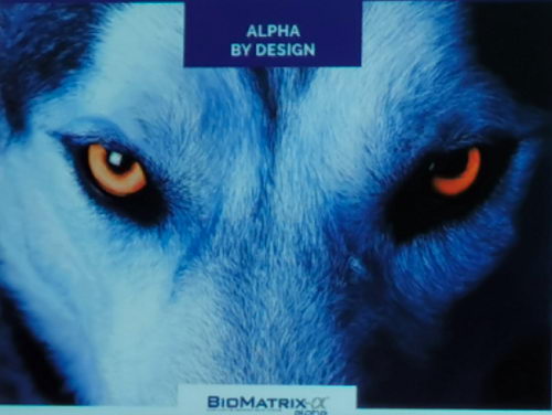 蓝帆医疗BioFreedom支架在巴黎Euro PCR上获一致认可