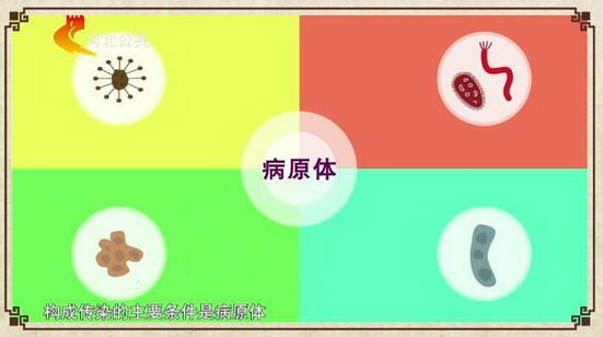 白癜风到底传不传染?能和白癜风患者接触吗?