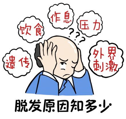 人类脱发的终极元凶被找到?原来都是基因惹的祸!