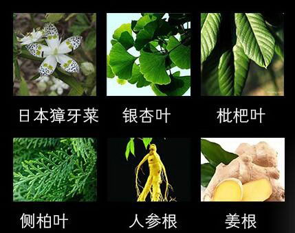 人类脱发的终极元凶被找到?原来都是基因惹的祸!