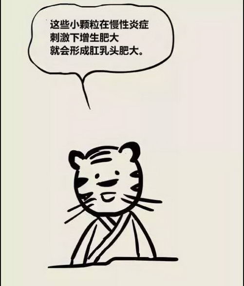 北京丰益肛肠医院科普——肛乳头肥大漫画图解