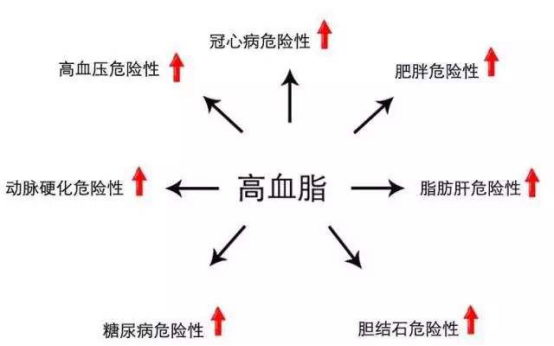 高血脂有什么危害?吃瑞舒伐他汀钙片可以吗?