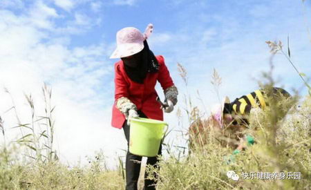 ֮湦Ч ԹຣСʼҵı֪