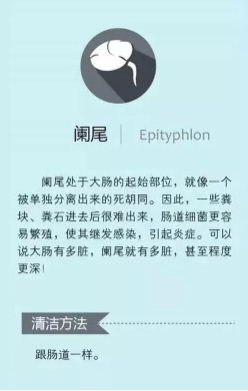 武汉东大肛肠医院:清洗内脏 这些“清洗”方法很管用