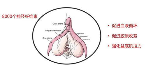 һҽԺͨ²ʿΪʲôҿʼ˽꼪