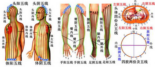 陈氏五线针刺法创始人——陈序选
