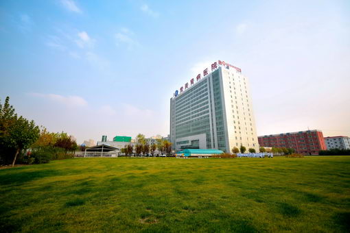 京东誉美肾病医院张建春:中西医结合治疗让肾病患儿无惧激素