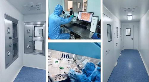 ٵҫ-2019йҽҩҵ50ǿ