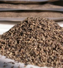 ůθ������������̵��������