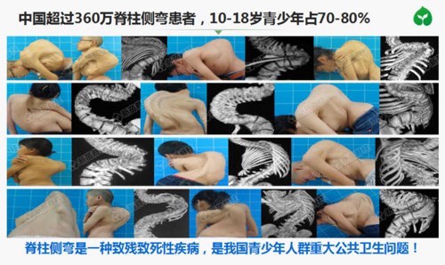 “奋进新时代·开创新未来”走进广东大湾区新苗基金公益项目谱写新篇章