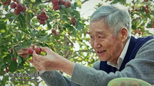 13位国医大师和40余名老中医!大型中医药纪录片《本草中国2》正在热播