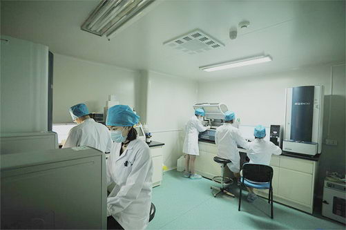 成都博润白癜风精准医学项目,毛囊外根鞘外科治疗