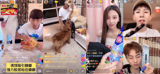 ˫666lowˣǧЯ魾ɱ룬һ