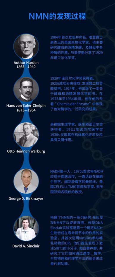 Ultra NMNѧ䡰ҩNMNȥ