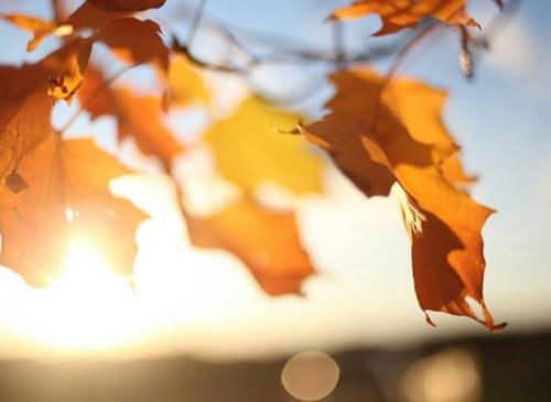 6岁儿子患B淋巴细胞白血病二次复发,这一次我没再犹豫