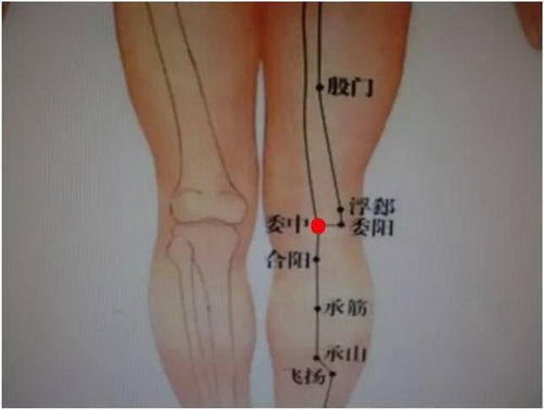 湛江崇爱康复医院看病怎么样 心系患者呵护健康