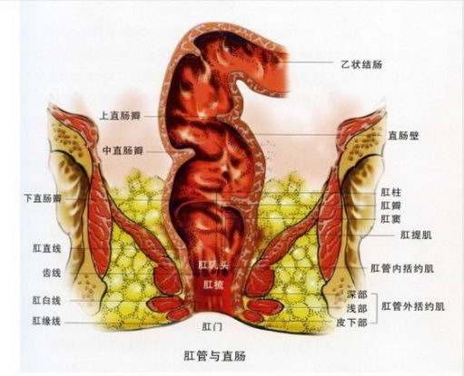 �人��Ӧ���س�ҽԺ����Ч����� רҵ����������