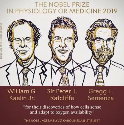 2019ŵǣ岹Զ방֢-ƽ