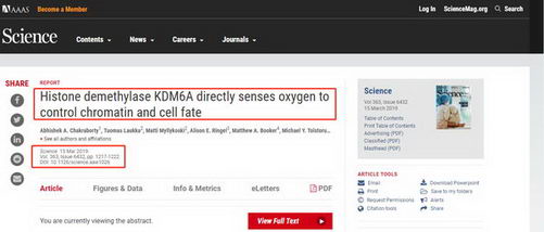 【深度解析】2019诺奖背后的思考—吃药还是补氧?
