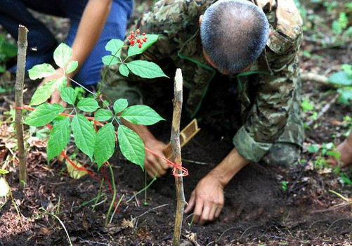 �˲��г�ǿ�������� ���˲ο�����������