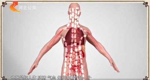 王家怀皮肤课堂:白癜风的综合诊疗