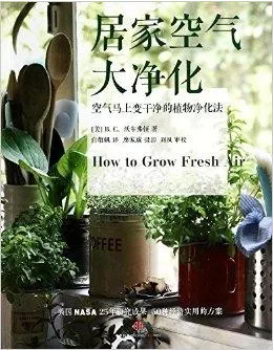 ֲܾܲPUREayreֲ;