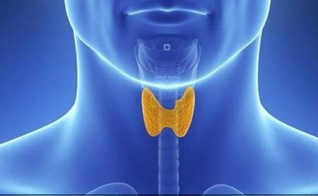 ҽƼ״ҽԺô רҵΪҽԺ