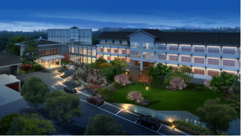 杨继洲医生集团(深圳)有限公司