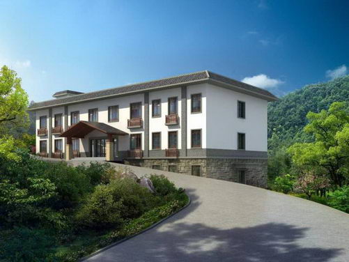 杨继洲医生集团(深圳)有限公司