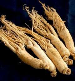 ��һ�ַ������ܼ�������˥���ٶ�