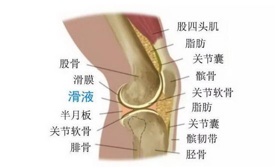 ϥǷʼ죿getϥȫСʿ
