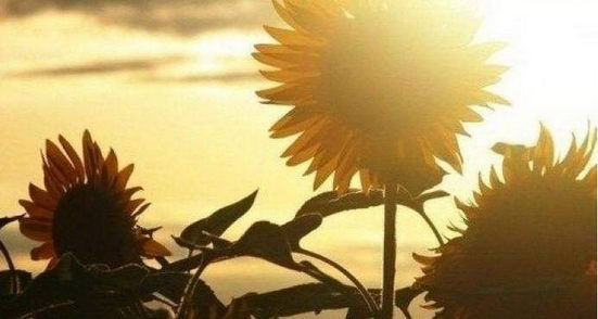 【感恩节】北京军海医院致每位亲爱的患者的一封信