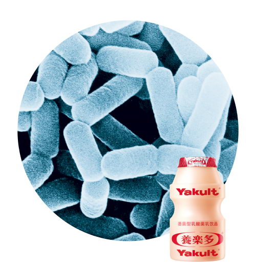 ֶ㲩ʿء֮ǿջԲĻ