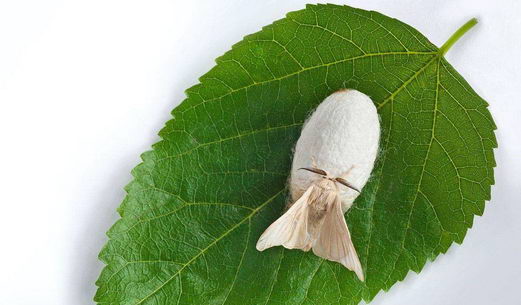 瑞舒伐他汀钙片有什么好处?高血脂患者怎样进行药物选择?