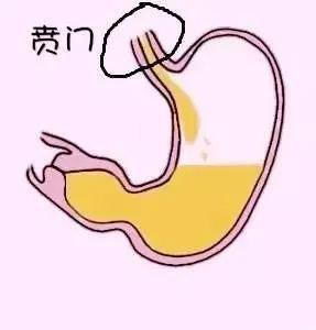湛江崇爱康复医院科普什么是胃酸 消化系统中的“熊孩子”