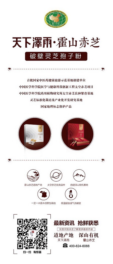 道地药材霍山赤芝:冬季滋补调理上品