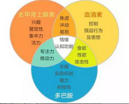 华佑医院告诉你 抑郁症能不能被彻底治愈,不再复发?