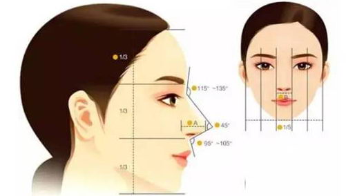 隆鼻不要盲目,适合自己才是关键!贵美汇靳玉彪主任自体肋软骨隆鼻案例