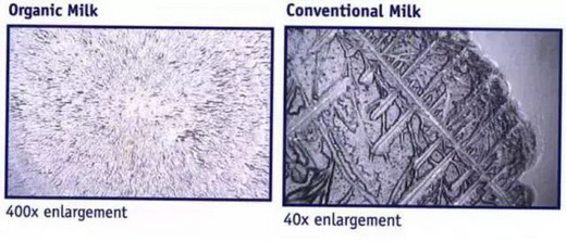 л̷&̷ͨ۴PKcȫӪ˫