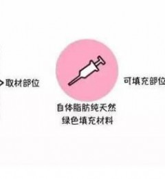 ��Хҽ����������֬����ֲ�ɻ����ж�ߣ�