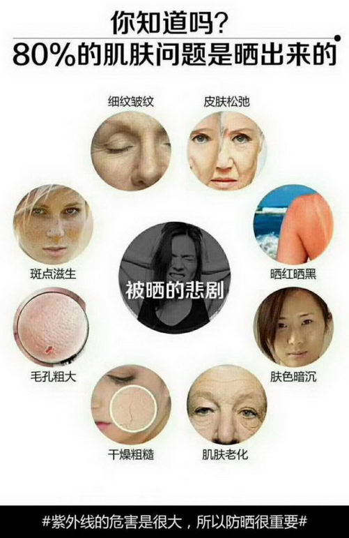 中秋将至,除了陪伴,你还能用蓝蜥蜴为他们送健康!